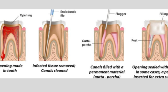 Untitled design (56)